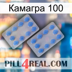 Камагра 100 20